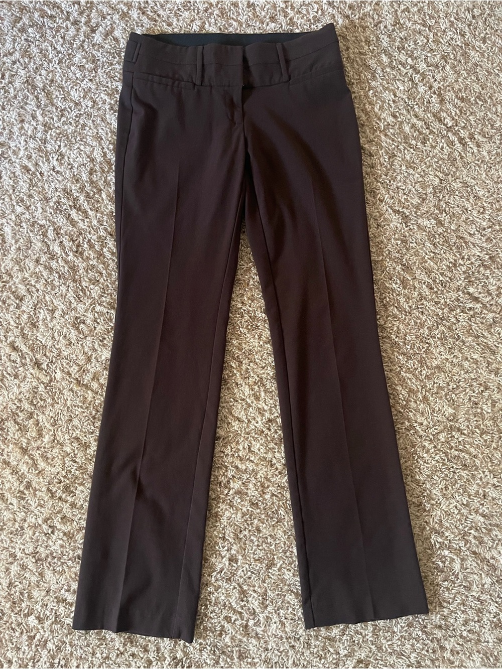 Maurices Dark Brown Women's Dress Pants